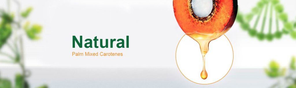 Davoslife brand banner